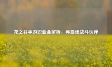 龙之谷手游职业全解析，寻最佳战斗伙伴