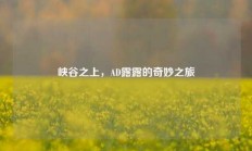 峡谷之上，AD露露的奇妙之旅