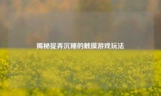 揭秘捉弄沉睡的触摸游戏玩法