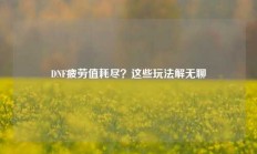 DNF疲劳值耗尽？这些玩法解无聊