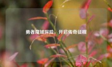 勇者魔域探险，开启传奇征程