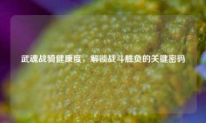武魂战骑健康度，解锁战斗胜负的关键密码