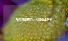 九阴真经唐门 2 内属性全解析