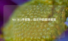 NBA 2K13手机版，指尖开启篮球盛宴