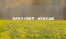 暮光堡垒小怪掉落，被忽视的宝藏