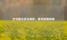 逆羽霞出装全解析，赛场制霸秘籍