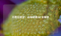 不思议迷宫，山海秘境 DP 全解析