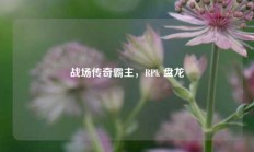 战场传奇霸主，RPk 盘龙