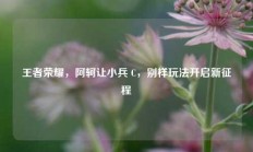 王者荣耀，阿轲让小兵 C，别样玩法开启新征程