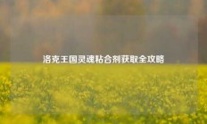 洛克王国灵魂粘合剂获取全攻略