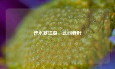 逆水寒江湖，此间老叶