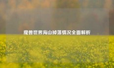 魔兽世界海山掉落情况全面解析