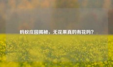 蚂蚁庄园揭秘，无花果真的有花吗？