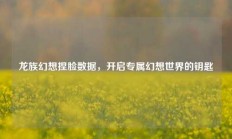 龙族幻想捏脸数据，开启专属幻想世界的钥匙