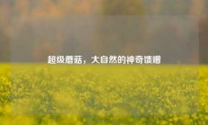 超级蘑菇，大自然的神奇馈赠