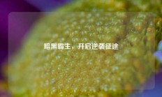 暗黑霸主，开启逆袭征途
