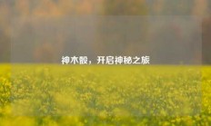 神木骰，开启神秘之旅