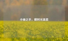 小袖之手，藏时光温柔