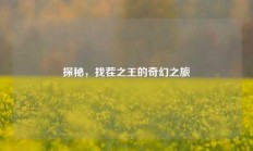 探秘，找茬之王的奇幻之旅