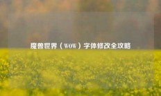 魔兽世界（WOW）字体修改全攻略