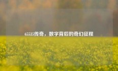 65535传奇，数字背后的奇幻征程