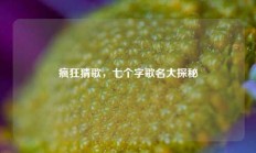 疯狂猜歌，七个字歌名大探秘