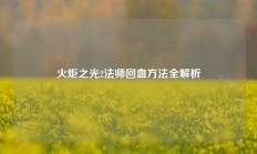 火炬之光2法师回血方法全解析