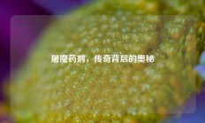 屠魔药剂，传奇背后的奥秘