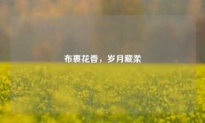 布裹花香，岁月藏柔