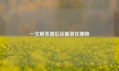 一文解答遗忘征服者在哪换