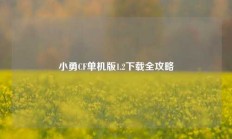 小勇CF单机版1.2下载全攻略