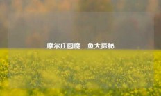 摩尔庄园魔鳉鱼大探秘