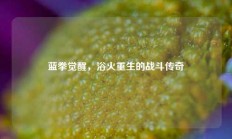 蓝拳觉醒，浴火重生的战斗传奇