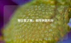 斯比雷之翼，翱翔梦想天际