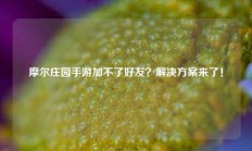 摩尔庄园手游加不了好友？解决方案来了！