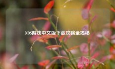NDS游戏中文版下载攻略全揭秘