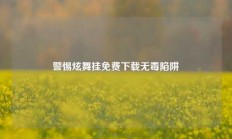 警惕炫舞挂免费下载无毒陷阱