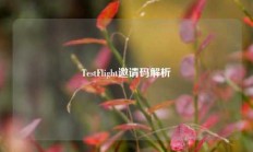 TestFlight邀请码解析
