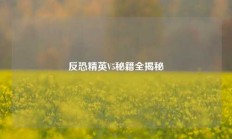 反恐精英V5秘籍全揭秘