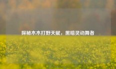 探秘木木打野天赋，黑暗灵动舞者