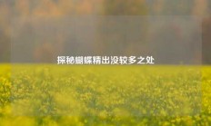 探秘蝴蝶精出没较多之处