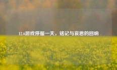 12.6游戏停服一天，铭记与哀思的回响