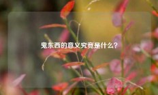 鬼东西的意义究竟是什么？