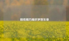 铜线精巧编织梦想乐章