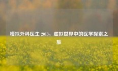 模拟外科医生 2013，虚拟世界中的医学探索之旅