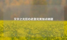 艾尔之光狂心武者完美加点秘籍