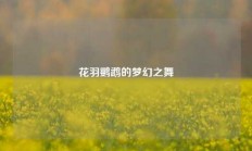 花羽鹦鹉的梦幻之舞