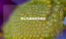 奥比岛遭遇暗夜袭击