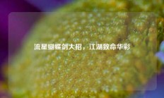 流星蝴蝶剑大招，江湖致命华彩