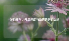 梦幻赛车，开启速度与激情的梦幻之旅